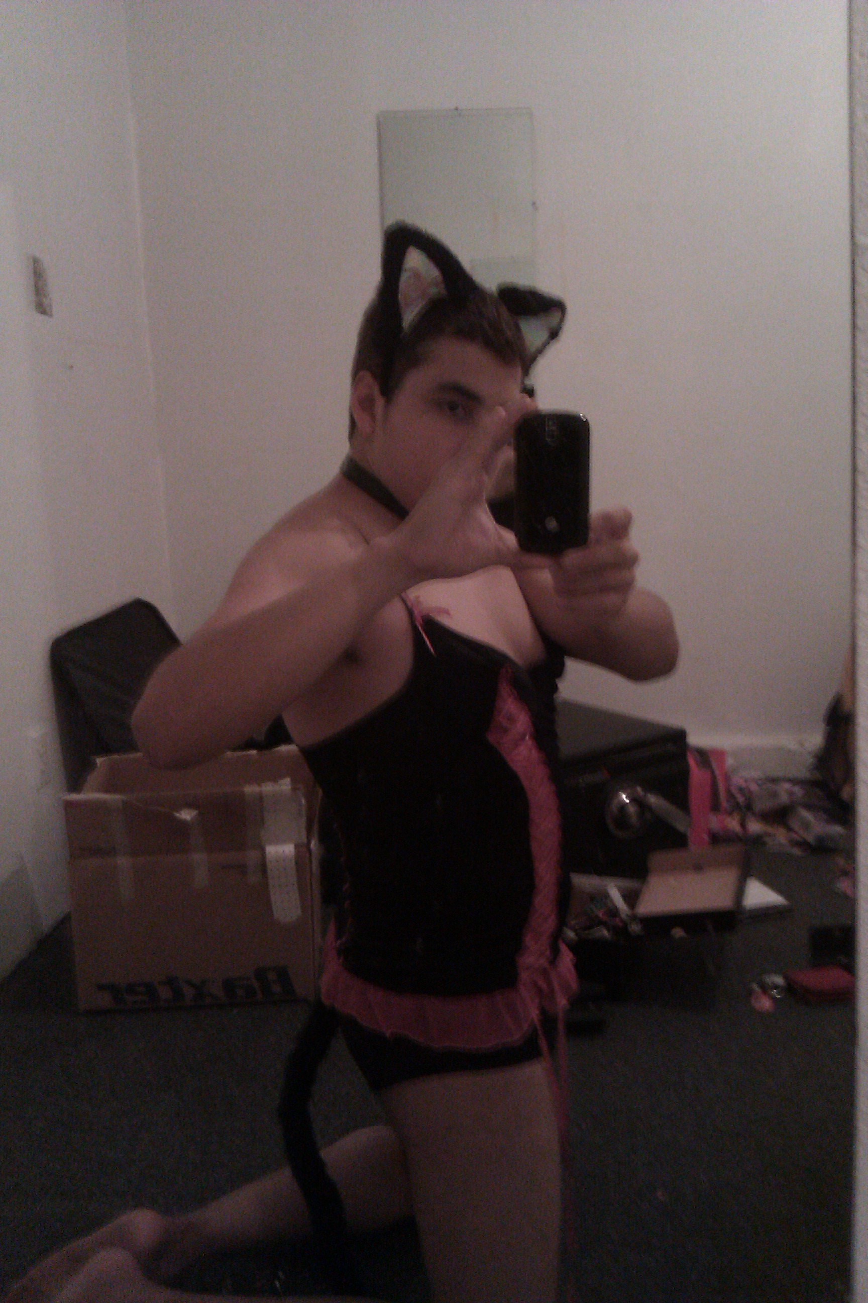 kitty fun