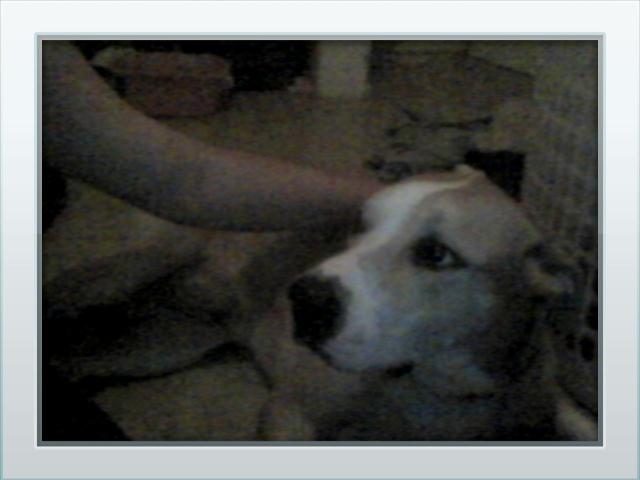 meet marley again meet marley again