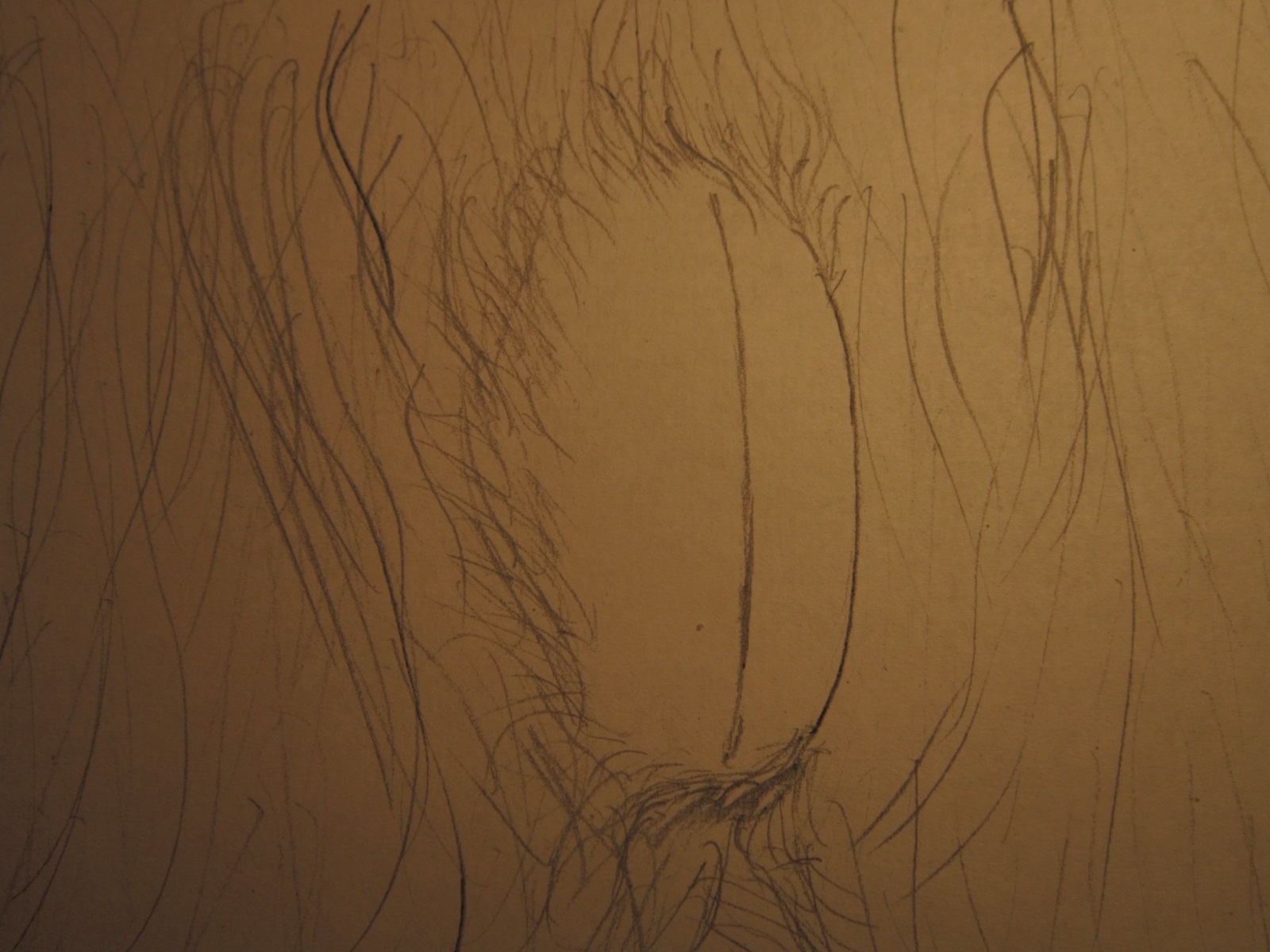 Raccoon Pussy Sketch
