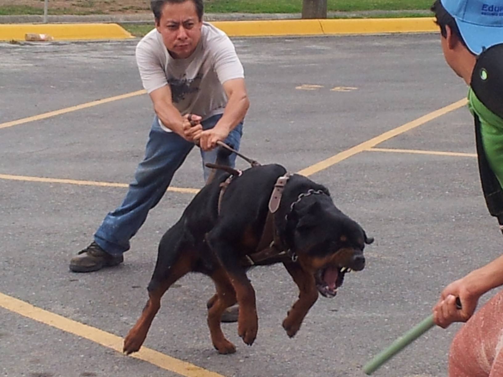 me in my (irl) job