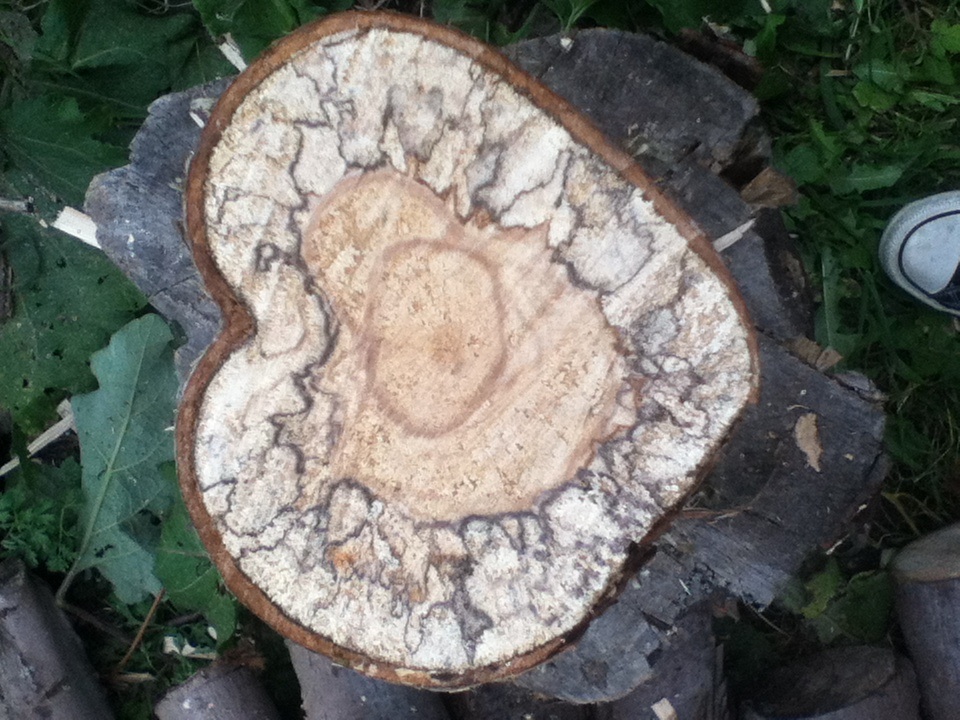 Heart Shaped Log