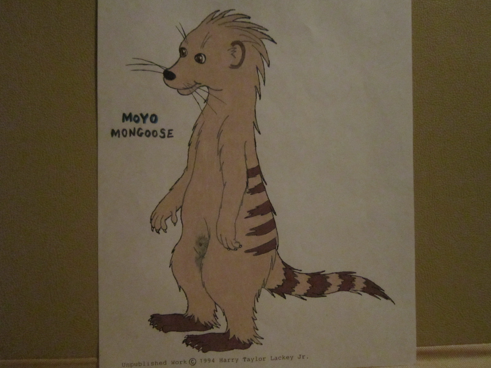 My Fursona, Moyomongoose, sexually detailed
