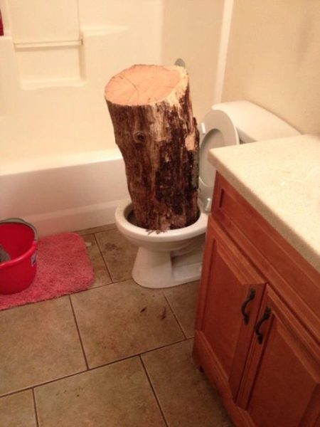 Too Much Fiber