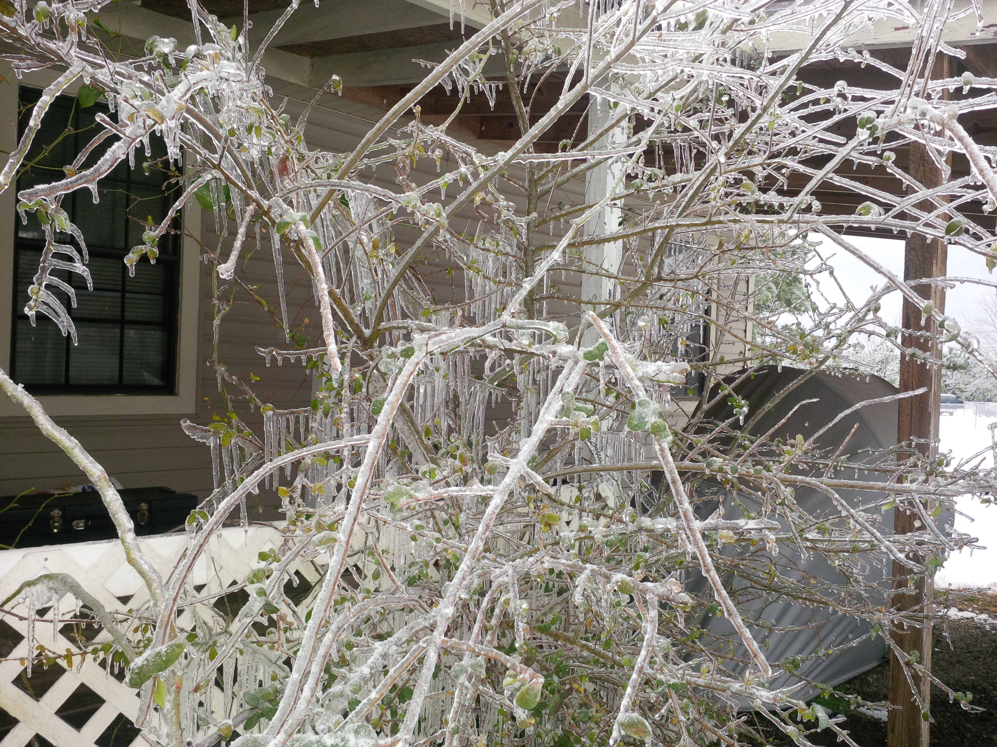 Polar Vortex Part 2