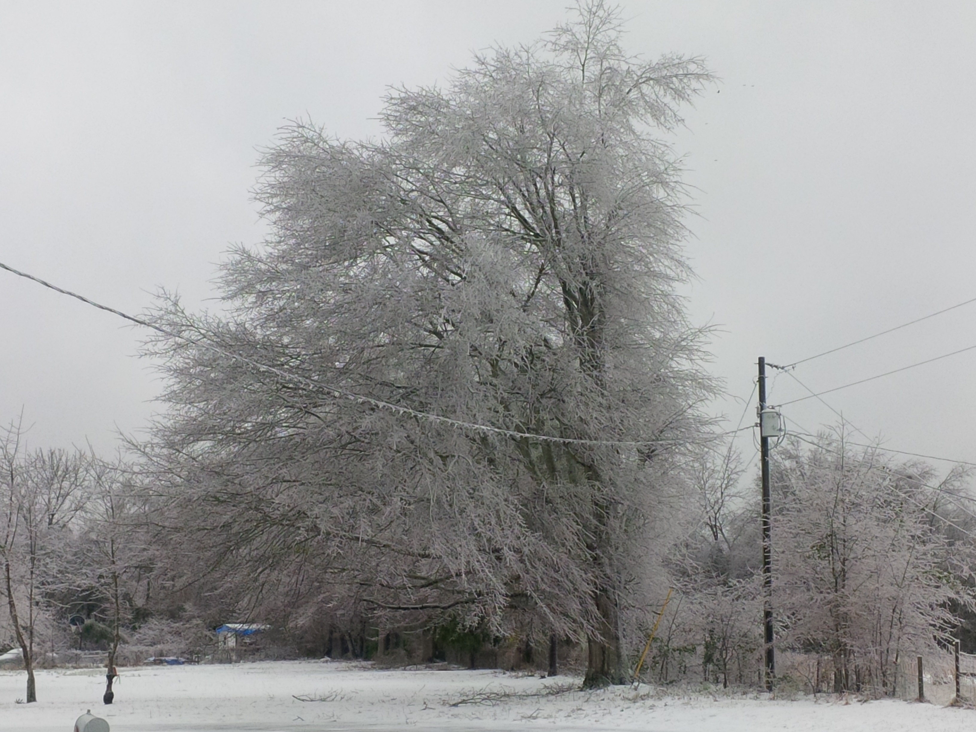 Polar Vortex Part 4