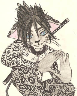 boy kitty with could hair