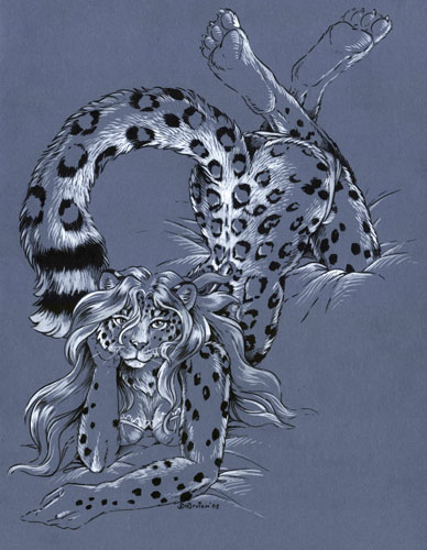 Sexy Cheetah 1
