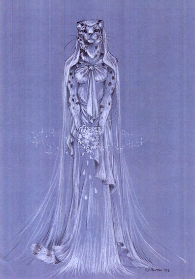 My Wedding Gown