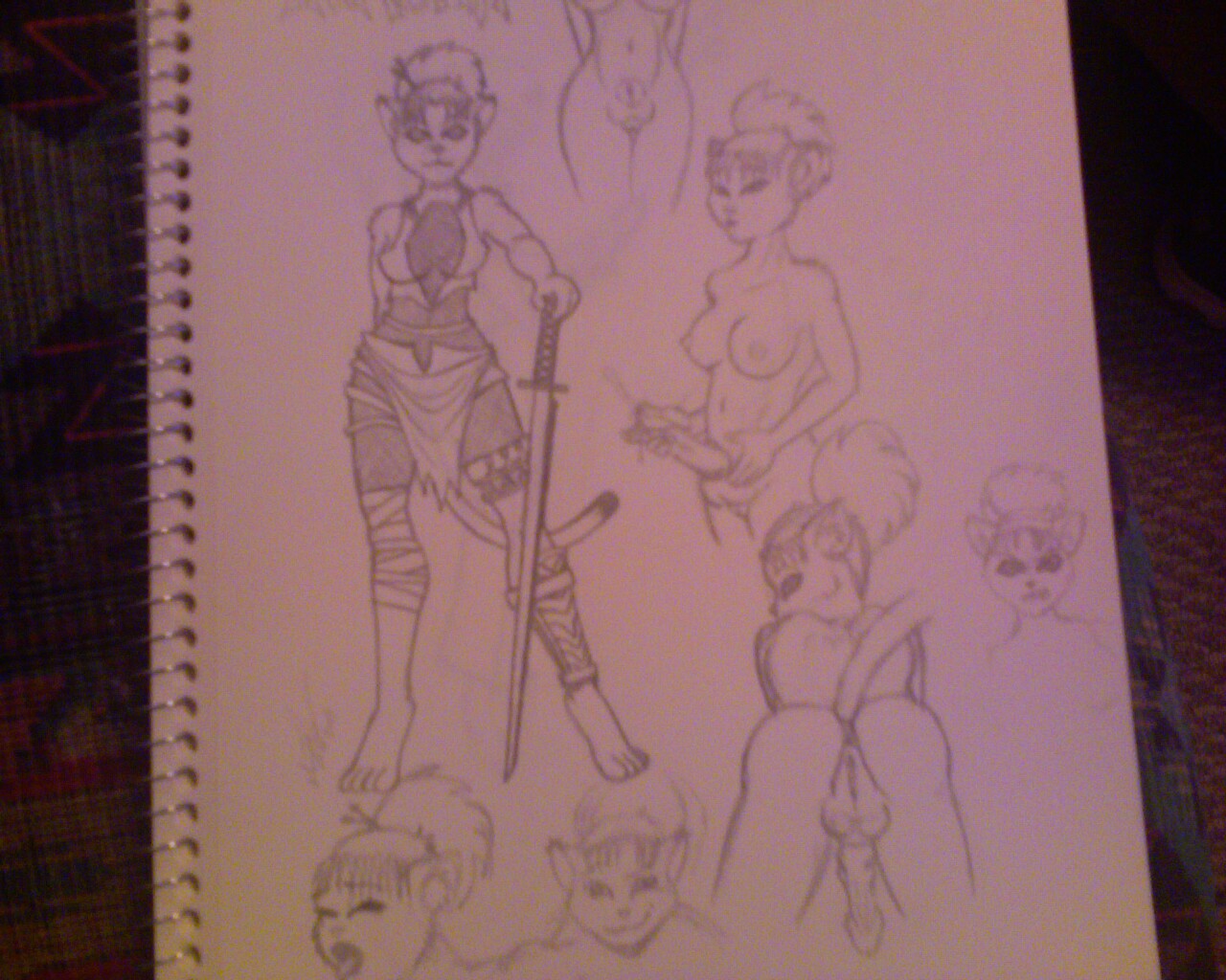 Inashsa Sketch