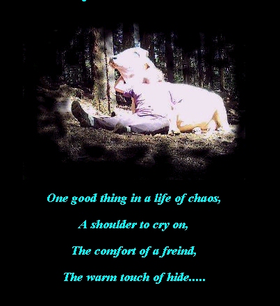 Touch of warm hide