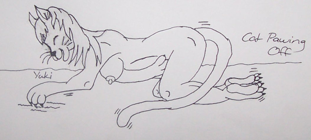 Yuki paws off