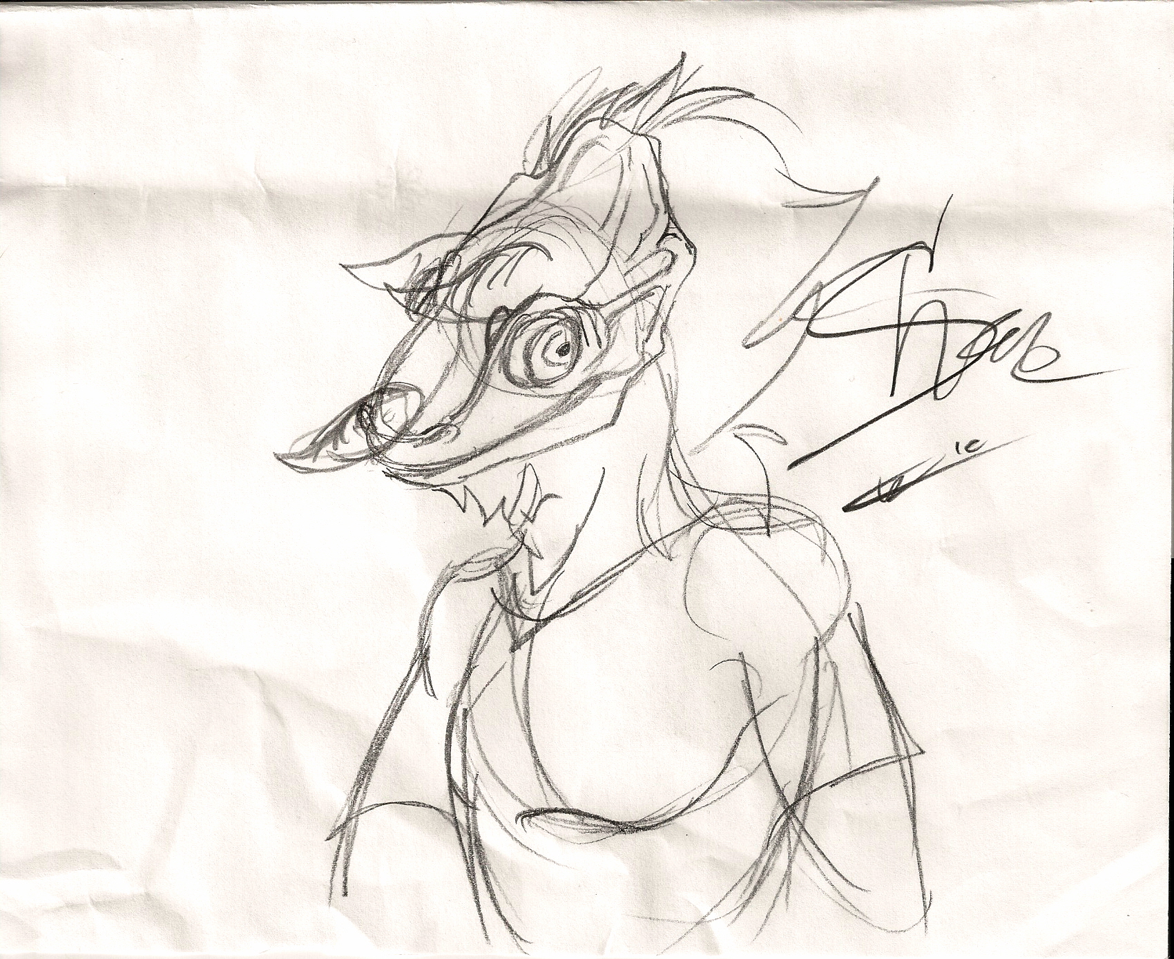FURSONAAA