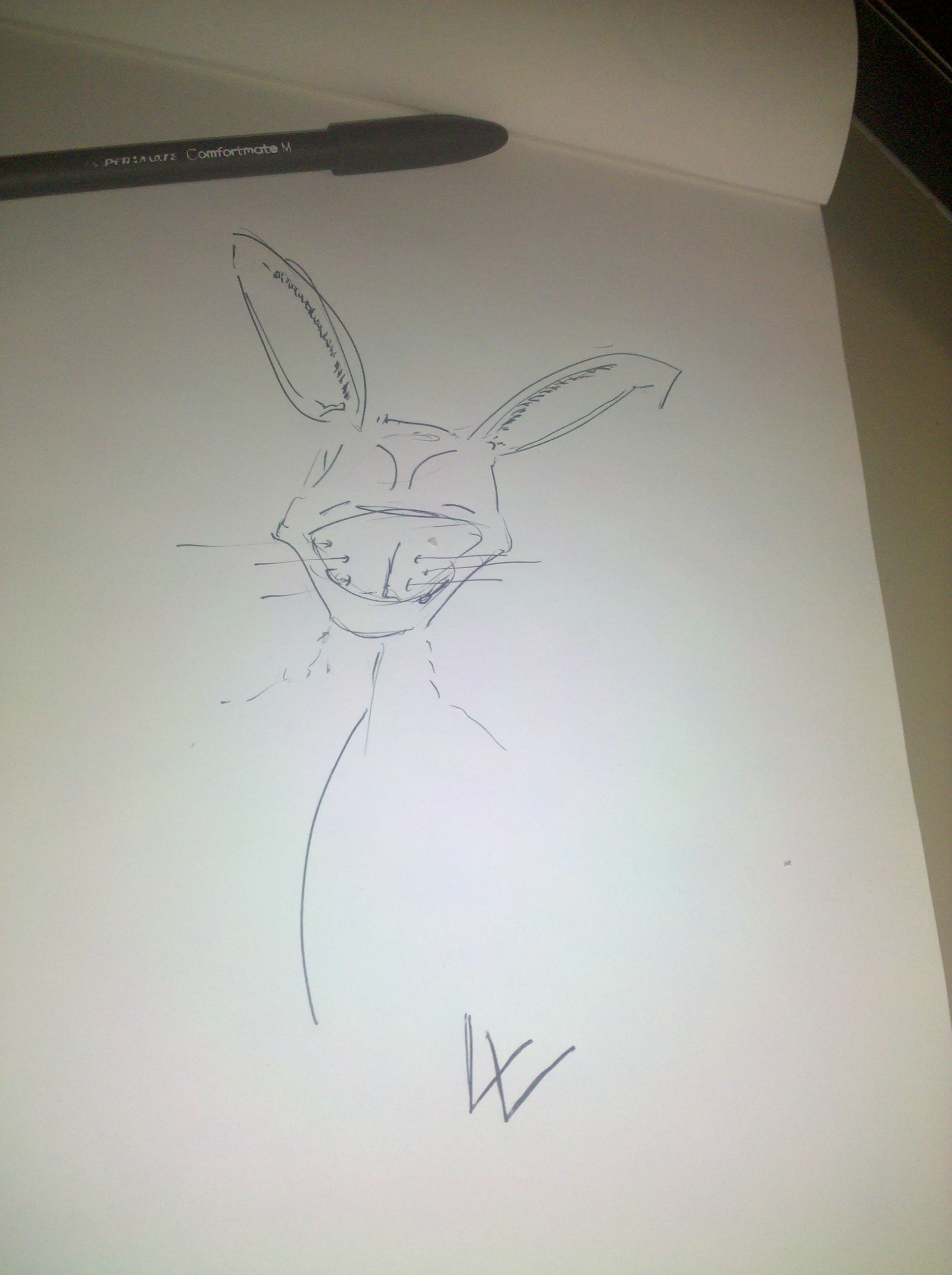 Rabbit1