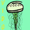 vIDo