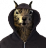 VictorDTarsus