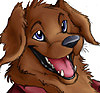 [AurumDoggy]