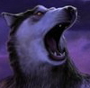 [Wolfman81]