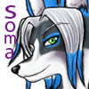 [soma_wolf]