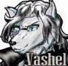 VashelTheWolf