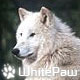 WhitePaw