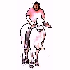 Zebu Rider