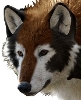 [GermanWolf44]