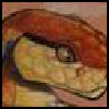 [Manek_Iridius]