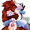 teddyfox