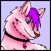 [Xadron]