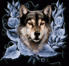 nightwolf93