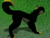 [IceTheWolf]