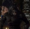 [Spartanwolf]