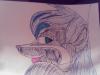 [SHeik]