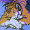 [katowarrior]