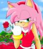 [amy rose]
