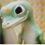 PhyscoLizard13