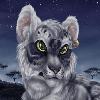 Ligy