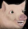 [yifpig]