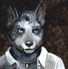 Blue Heeler SunFire
