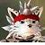 [VinceWolftiger]