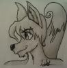 Drawings