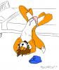 Scratrch the fox