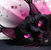 Kalandria Meowkitty