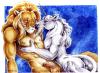 Awesome Pics