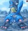 Gay pok