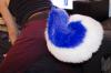 Husker Tail!