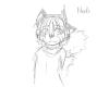 Test Noodle 1