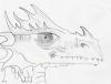Dragon Head