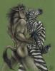 zebra and horse anal