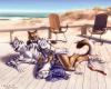 tiger cat furry